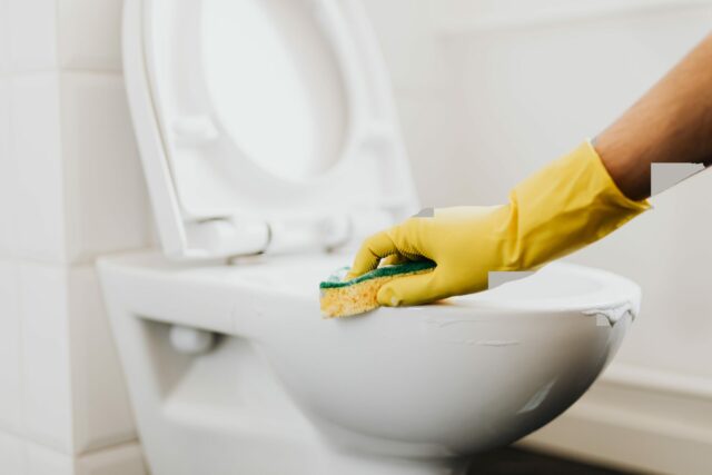 How to Remove Rust Stains in a Toilet Bowl